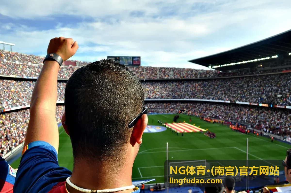 NG体育·(南宫)官方网站企业服务分类封面